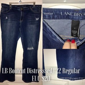 Lane Bryant Jeans